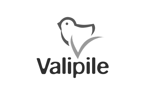 Valipile